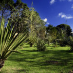 06.06.26 Botanico 016