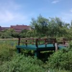 Mirador Laguna de las Aves