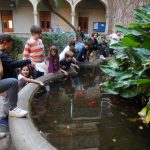 Verano en tu ciudad continúa en febrero