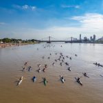 La Semana de la Laguna cerró con balance turístico positivo